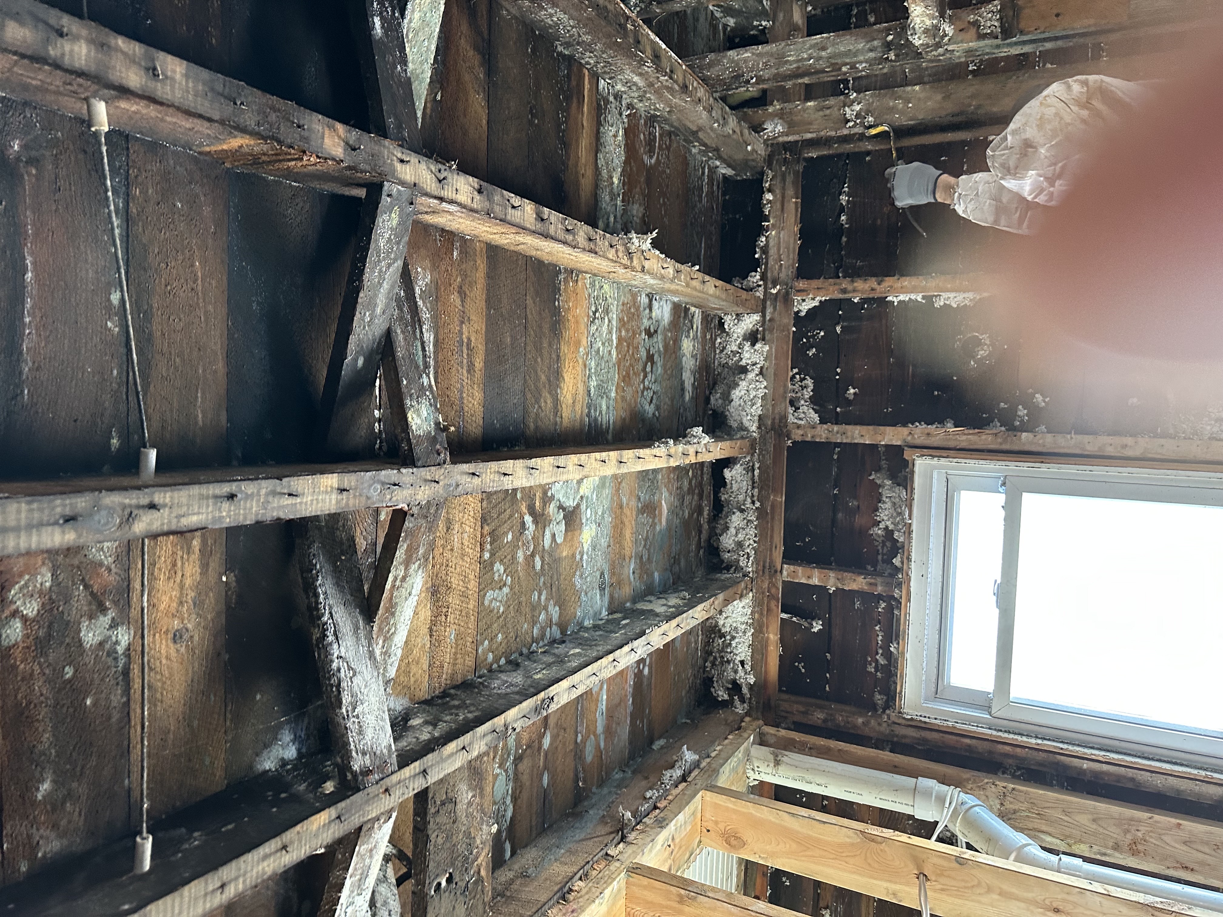 Structural Drying in Hennepin County, Minnesota - Water Damage Cleanup .AI CORP | American Restores Group